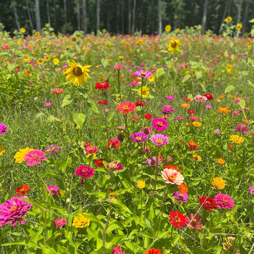 Meet your Posher, Melina